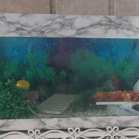 آکواریوم شیشه خم