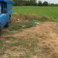 زمین شالیزار خمام