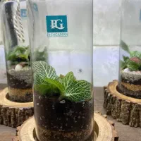 گلدان‌شیشه‌ای‌همراه گل