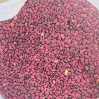 لوبیا قرمز بوجار شده