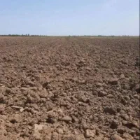 زمین کشاورزی فروشی کانال ال