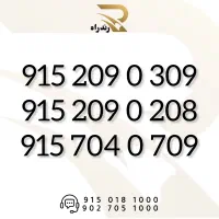 0915-209-0-309