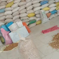 خرید انواع ارقام بادام