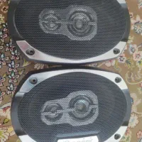 باند پایونر