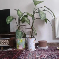 گلدان
