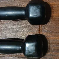 دمبل های 3 و 1.5 کیلوگرمی|تجهیزات ورزشی|ساری, |دیوار