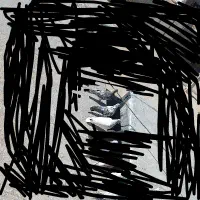 ماده سوسکی گم شده|پرنده|اشترینان, |دیوار