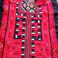 تعداد زی جوکی