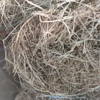 یونجه|خدمات باغبانی و درختکاری|مرند, |دیوار