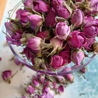 گل محمدی|خوردنی و آشامیدنی|شلمان, |دیوار