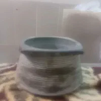دیزی سنگی
