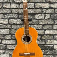 گیتار دیاموند|گیتار، بیس، امپلیفایر|نیشابور, فردوس شمالی|دیوار