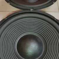 باند ووفر 10 اینچ / 12 اینچ|سیستم صوتی خانگی|رباطکریم, رباطکریم|دیوار