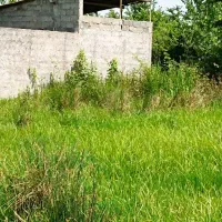 فروش-زمین-در-رشت