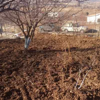 خدمات کشاورزی  با انصاف تیلر سم پاش هرس چال کود|خدمات باغبانی و درختکاری|سنندج, |دیوار