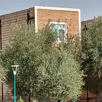 ملک مسکونی تجاری