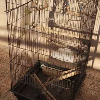 قفس پرنده|لوازم جانبی حیوانات|باغستان, |دیوار