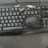 به فروش میرسند