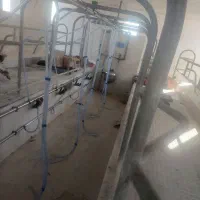 شیردوش گاو صنعتی