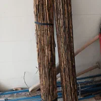 فروش چیخ