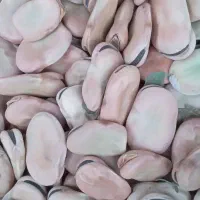 باقلای‌محلی|خوردنی و آشامیدنی|رشت, عینک|دیوار