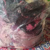 کانفا|رختخواب، بالش، پتو|تبریز, |دیوار