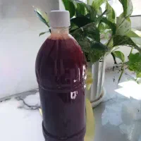 آبغوره امسال