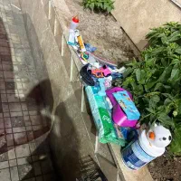 توله چشم دکمه ای فقط 2900|سگ|تهران, صادقیه|دیوار