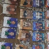 کیمدی سامر 2026