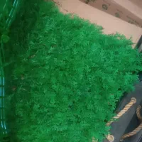 فنس /گرینوال/چمنی/ریسه/