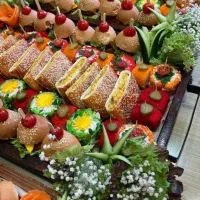 سینی فینگر فود|حراج|اصفهان, کوی امیریه|دیوار