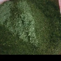 ماش سیاه و سبزی وادویه جات خوزستان|خوردنی و آشامیدنی|بروجن, |دیوار