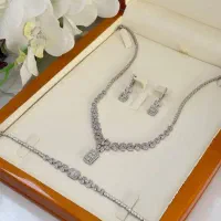 نیم‌ست نقره مجلسی/ با اقساط