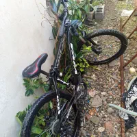 دوچرخه ویوا