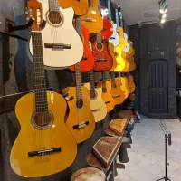 از هنرجویی تا حرفه ای،  گیتار /