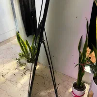 آینه قدی|آینه|گرگان, |دیوار