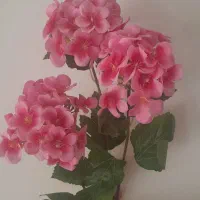گل و گلدان|گل مصنوعی|یزد, |دیوار