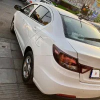 شاهین جی