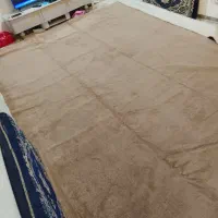 موکت کرمی تمیز