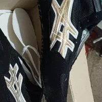 کفش کشتی|کیف، کفش، کمربند|مشگین شهر, |دیوار