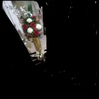 شاخه گل گلایر