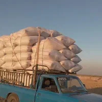 کاه فروشی خ خ خ