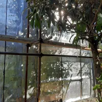 فروش و نصب ایزوگام|خدمات پیشه و مهارت|رضوانشهر, |دیوار