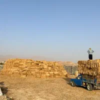 فروش پرس گندم کلاله