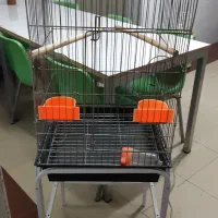 قفس|لوازم جانبی حیوانات|تهران, چوب تراش|دیوار