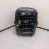 باکس سگ سایز ۸