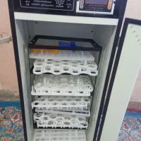 دستگاه جوجه کشی هدایت|حیوانات مزرعه|آشار, |دیوار