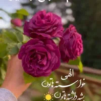 راهنمای میخوام