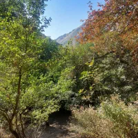 تور نیمروزه ی انگلیسی|تور و چارتر|فشم, |دیوار