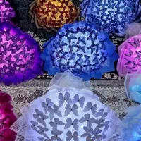 بوکت های پروانه ای با نور